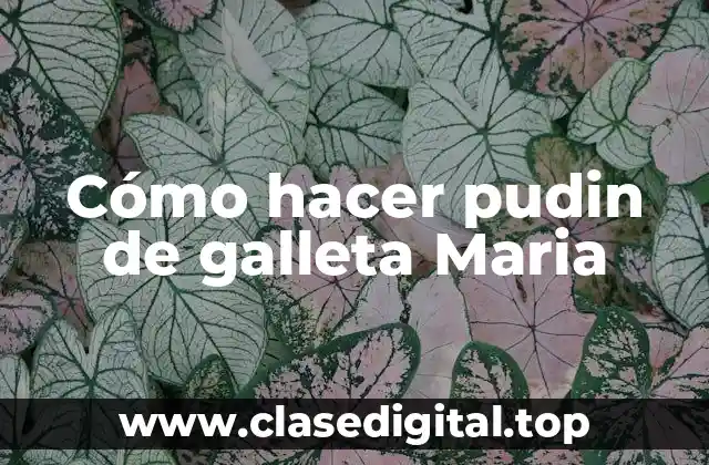 Cómo hacer pudin de galleta Maria