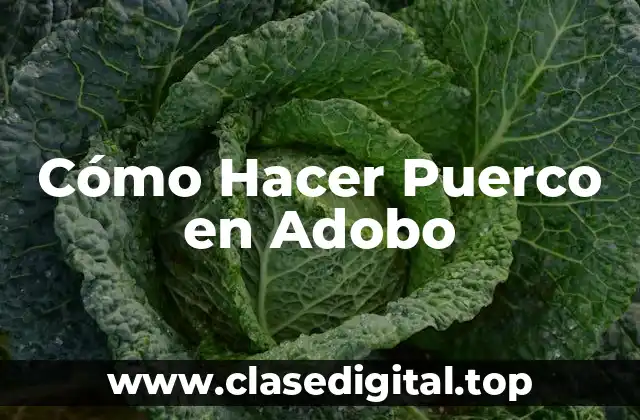 Cómo Hacer Puerco en Adobo