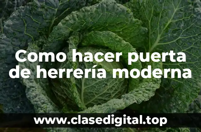 ¿Qué es una puerta de herrería moderna?