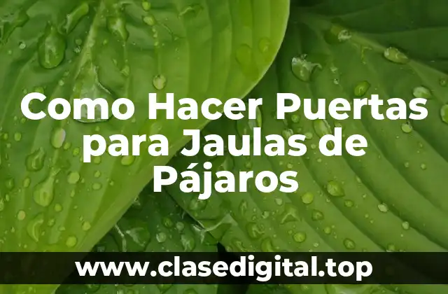 Como Hacer Puertas para Jaulas de Pájaros