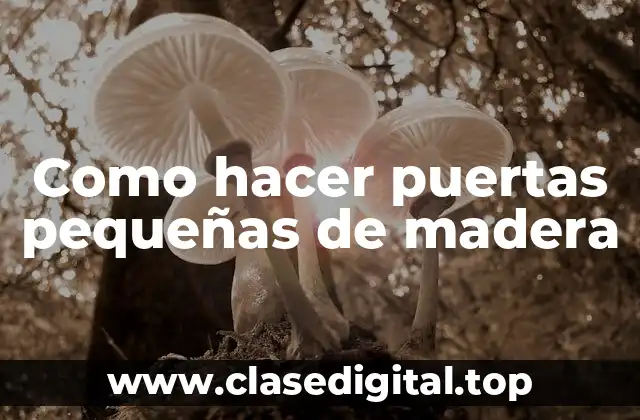 Como hacer puertas pequeñas de madera