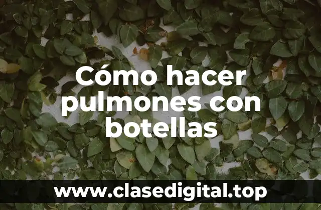 Cómo hacer pulmones con botellas