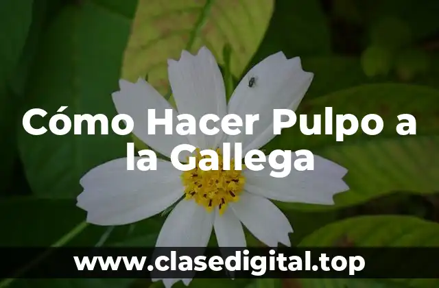 Orígenes y Historia del Pulpo a la Gallega