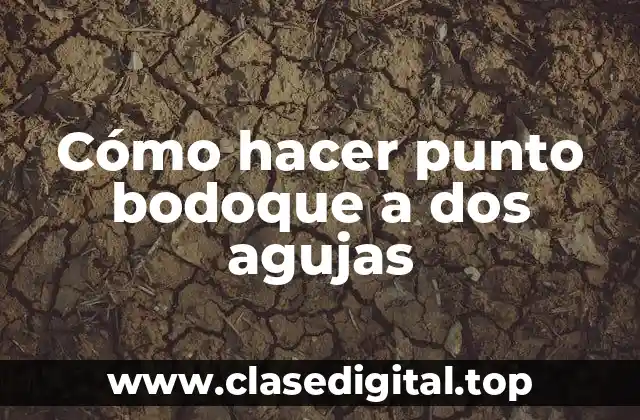 Cómo hacer punto bodoque a dos agujas