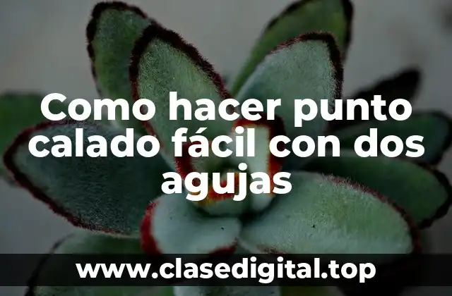 Como hacer punto calado fácil con dos agujas