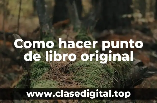 Como hacer punto de libro original