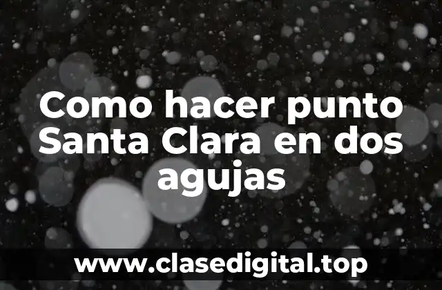 Como hacer punto Santa Clara en dos agujas