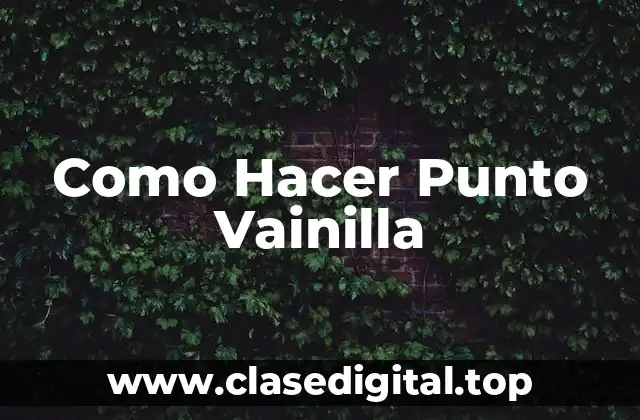 Como Hacer Punto Vainilla