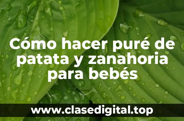 Cómo hacer puré de patata y zanahoria para bebés