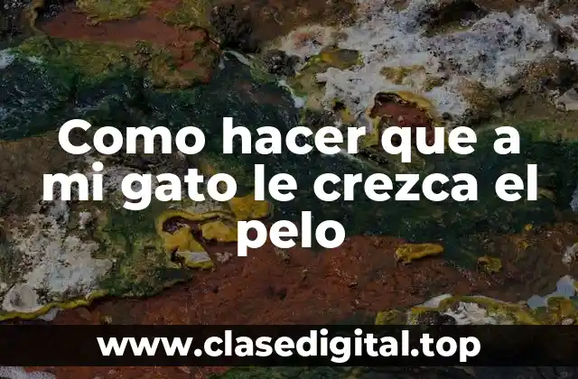 Como hacer que a mi gato le crezca el pelo