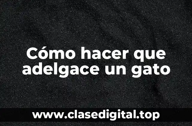 Cómo hacer que adelgace un gato