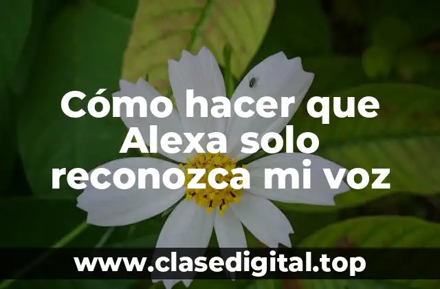 Cómo hacer que Alexa solo reconozca mi voz