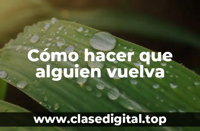 Cómo hacer que alguien vuelva
