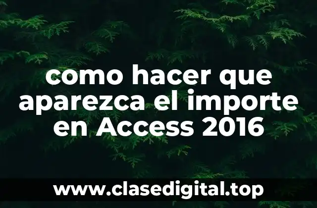 como hacer que aparezca el importe en Access 2016