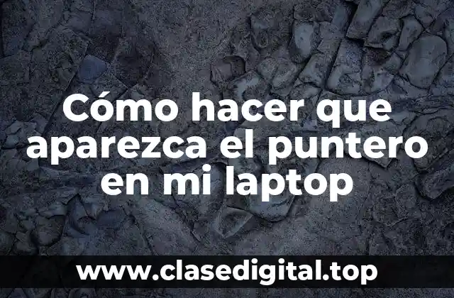 Cómo hacer que aparezca el puntero en mi laptop