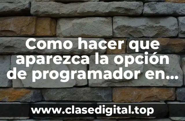 ¿Qué es la opción de programador en Excel?