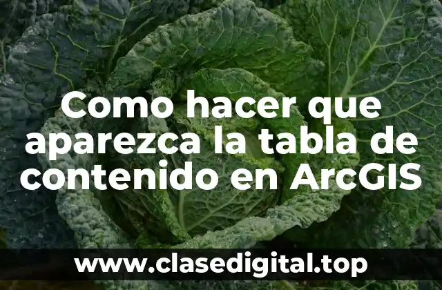 Como hacer que aparezca la tabla de contenido en ArcGIS
