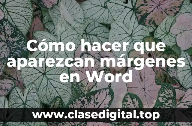 Cómo hacer que aparezcan márgenes en Word