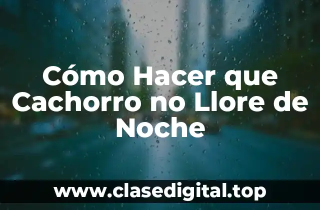 Cómo Hacer que Cachorro no Llore de Noche