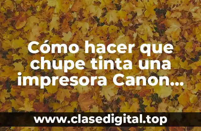 Cómo hacer que chupe tinta una impresora Canon MG2522