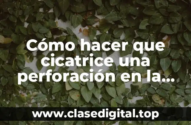 Cómo hacer que cicatrice una perforación en la nariz