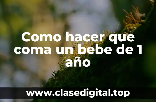 Como hacer que coma un bebe de 1 año