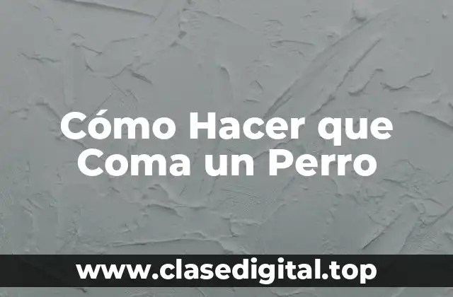 Cómo Hacer que Coma un Perro