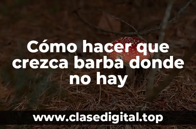 Cómo hacer que crezca barba donde no hay
