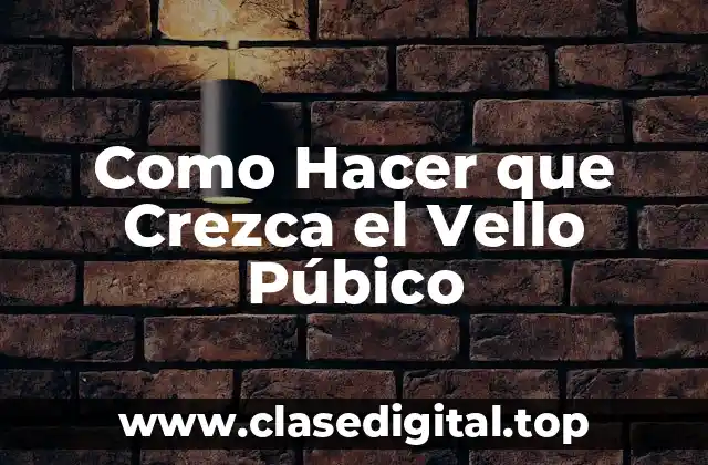 Como Hacer que Crezca el Vello Púbico