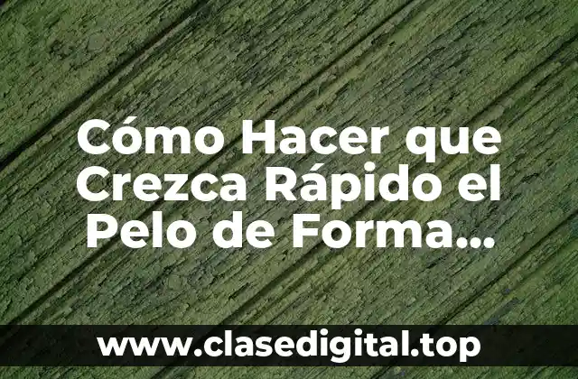 Cómo Hacer que Crezca Rápido el Pelo de Forma Natural y Saludable