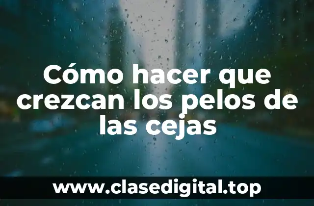 Cómo hacer que crezcan los pelos de las cejas