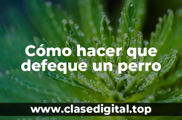 Cómo hacer que defeque un perro