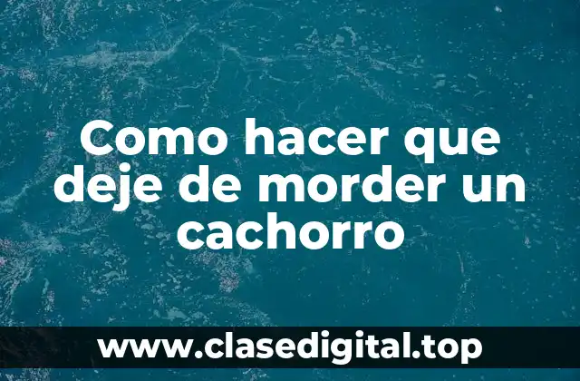 Como hacer que deje de morder un cachorro