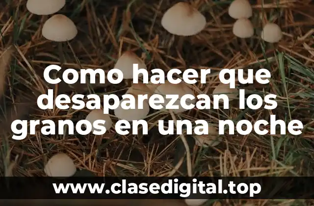 Como hacer que desaparezcan los granos en una noche