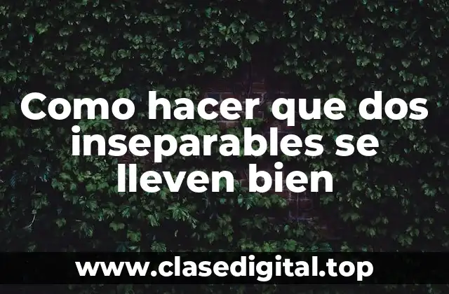 Como hacer que dos inseparables se lleven bien