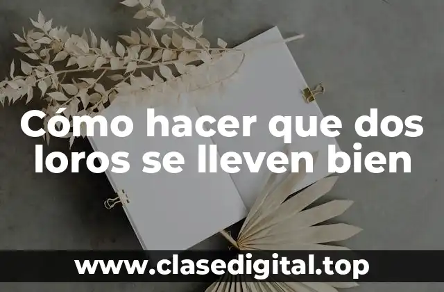 Cómo hacer que dos loros se lleven bien