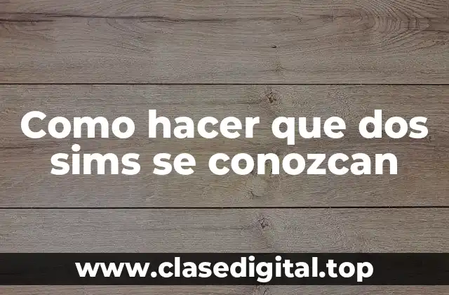 Como hacer que dos sims se conozcan