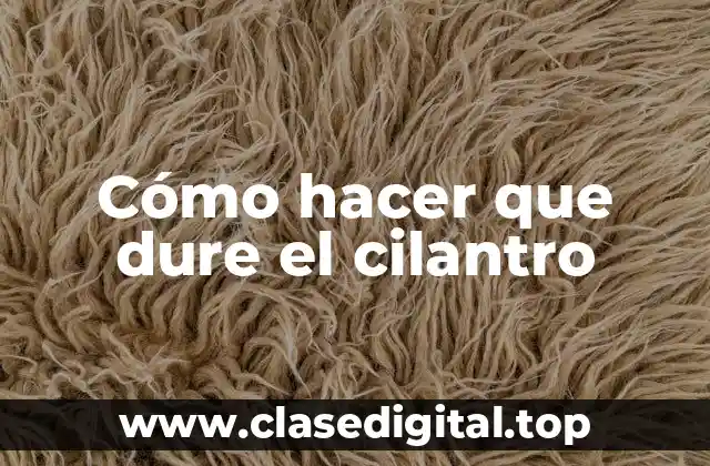 Cómo hacer que dure el cilantro