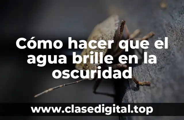 Cómo hacer que el agua brille en la oscuridad