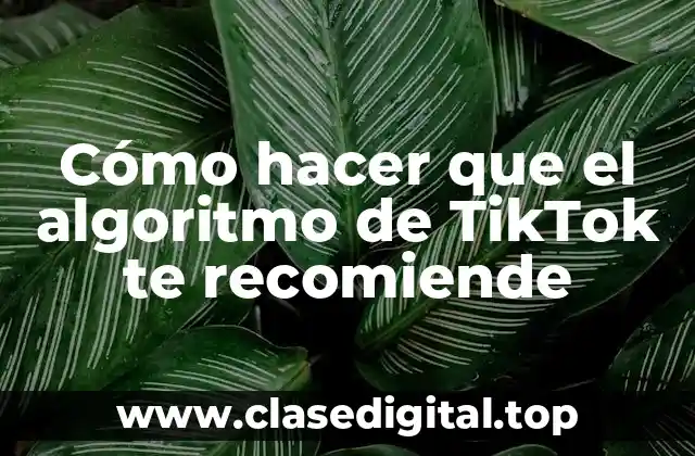 Cómo hacer que el algoritmo de TikTok te recomiende