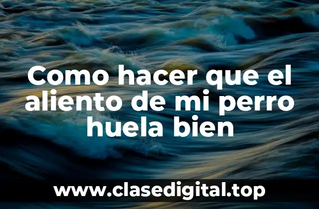 Como hacer que el aliento de mi perro huela bien