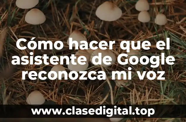 Cómo hacer que el asistente de Google reconozca mi voz