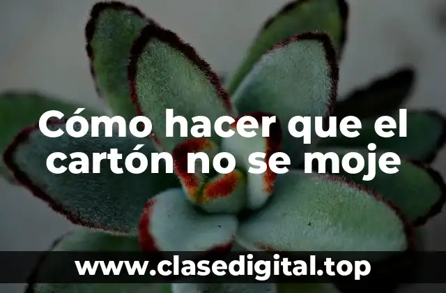 Cómo hacer que el cartón no se moje