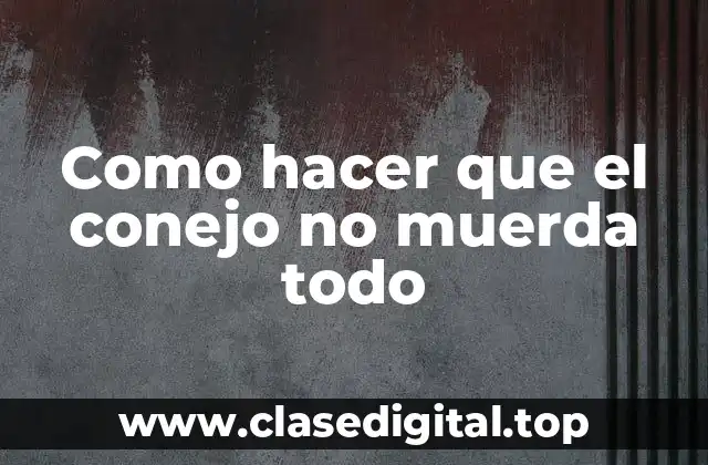 Como hacer que el conejo no muerda todo