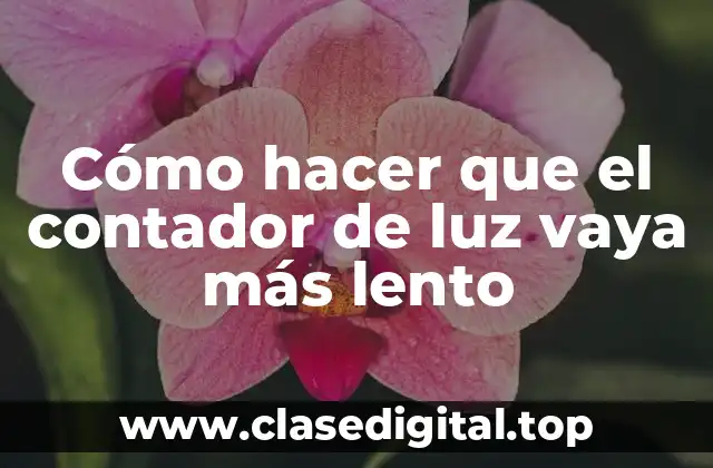 Cómo hacer que el contador de luz vaya más lento