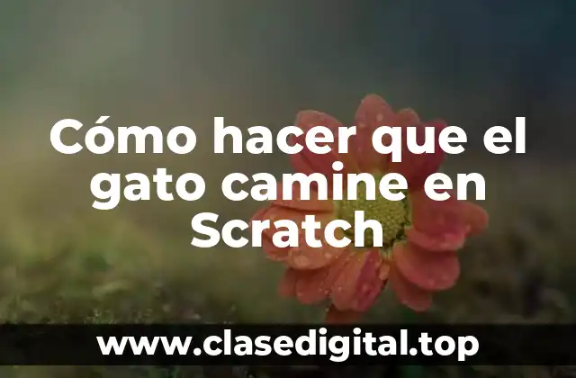 Cómo hacer que el gato camine en Scratch