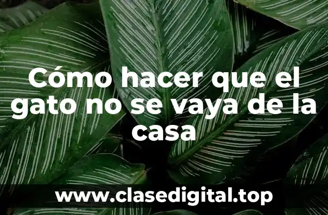 Cómo hacer que el gato no se vaya de la casa