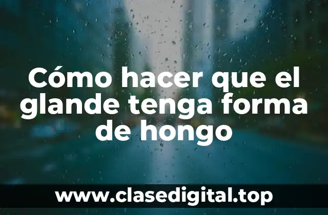 ¿Qué es el glande y qué forma tiene?