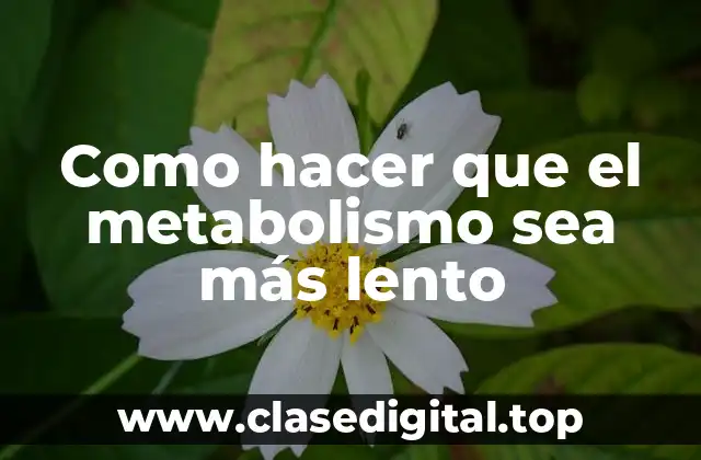 Como hacer que el metabolismo sea más lento
