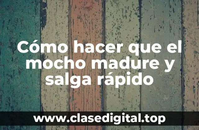 Cómo hacer que el mocho madure y salga rápido